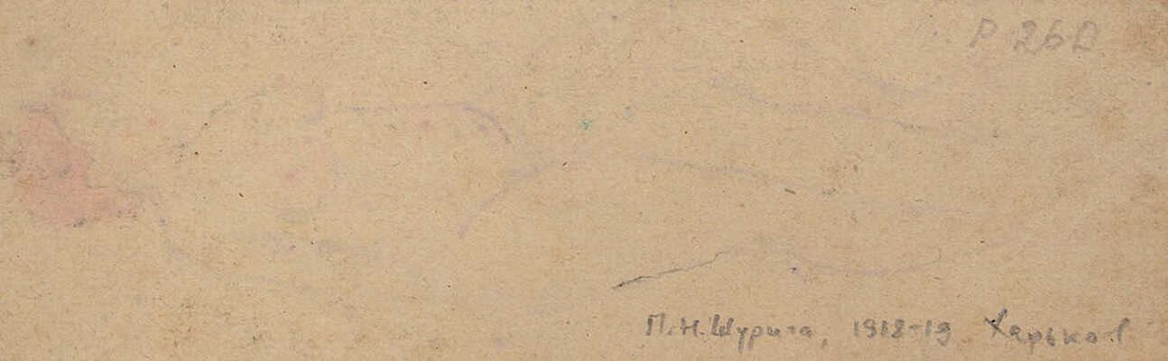 Шурига Пелагея Николаевна. Женская фигура 